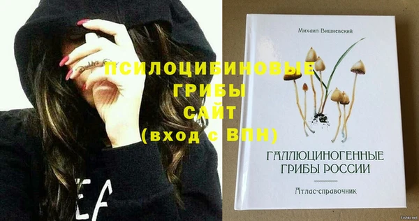 тгк Волоколамск
