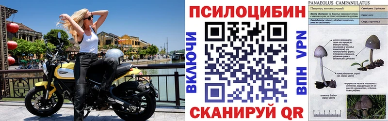 Псилоцибиновые грибы мухоморы  Купить где  Камышин 