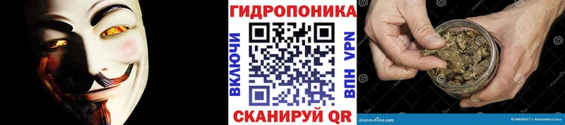 Купить Камышин Канабис THC 21%